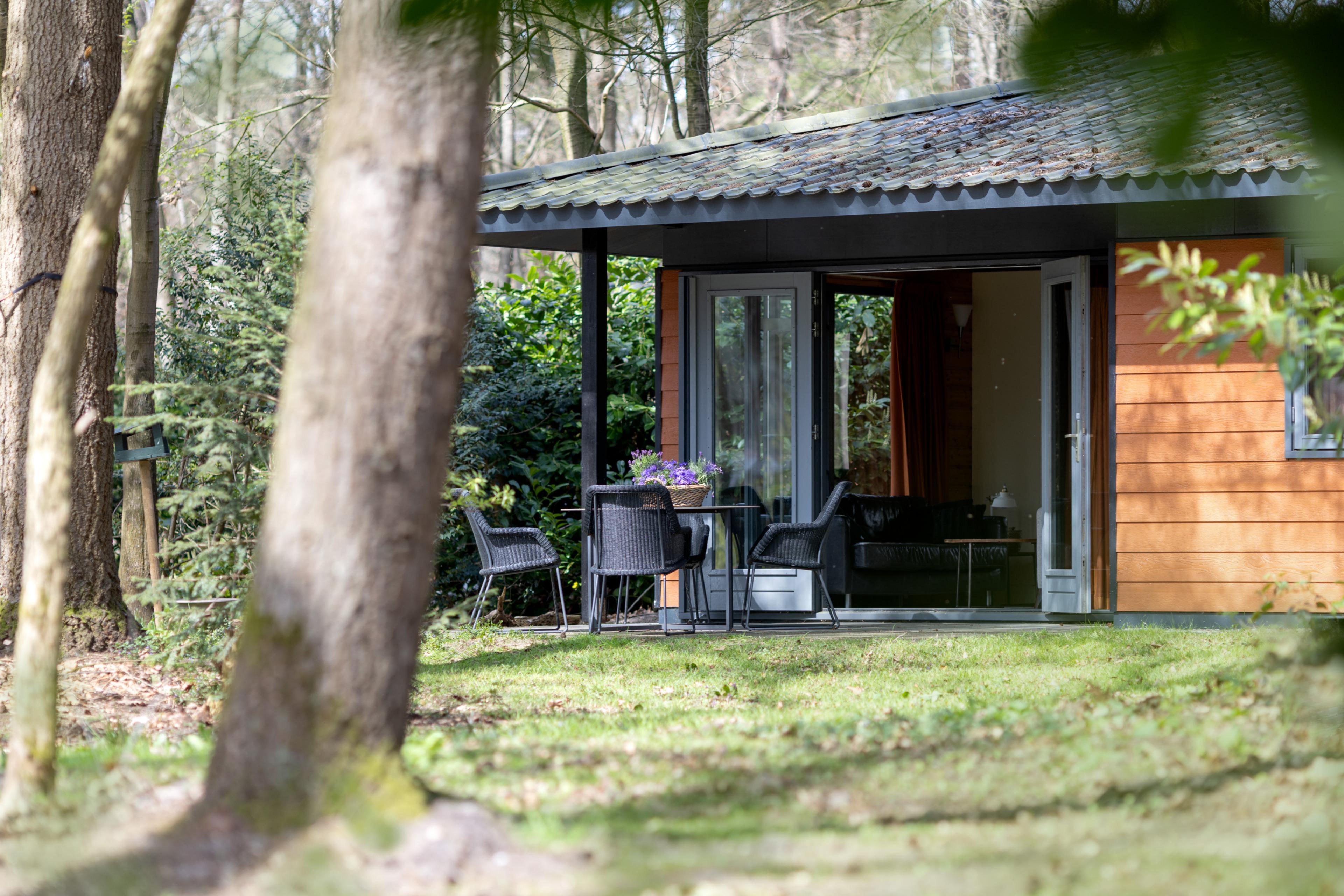 Natuurhuisje in Voorthuizen