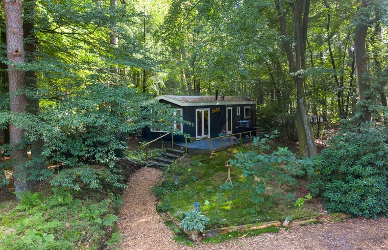 Natuurhuisje in Vierhouten