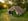 Nature house in Raalte