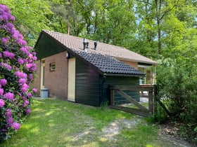 Nature house in Ruinen