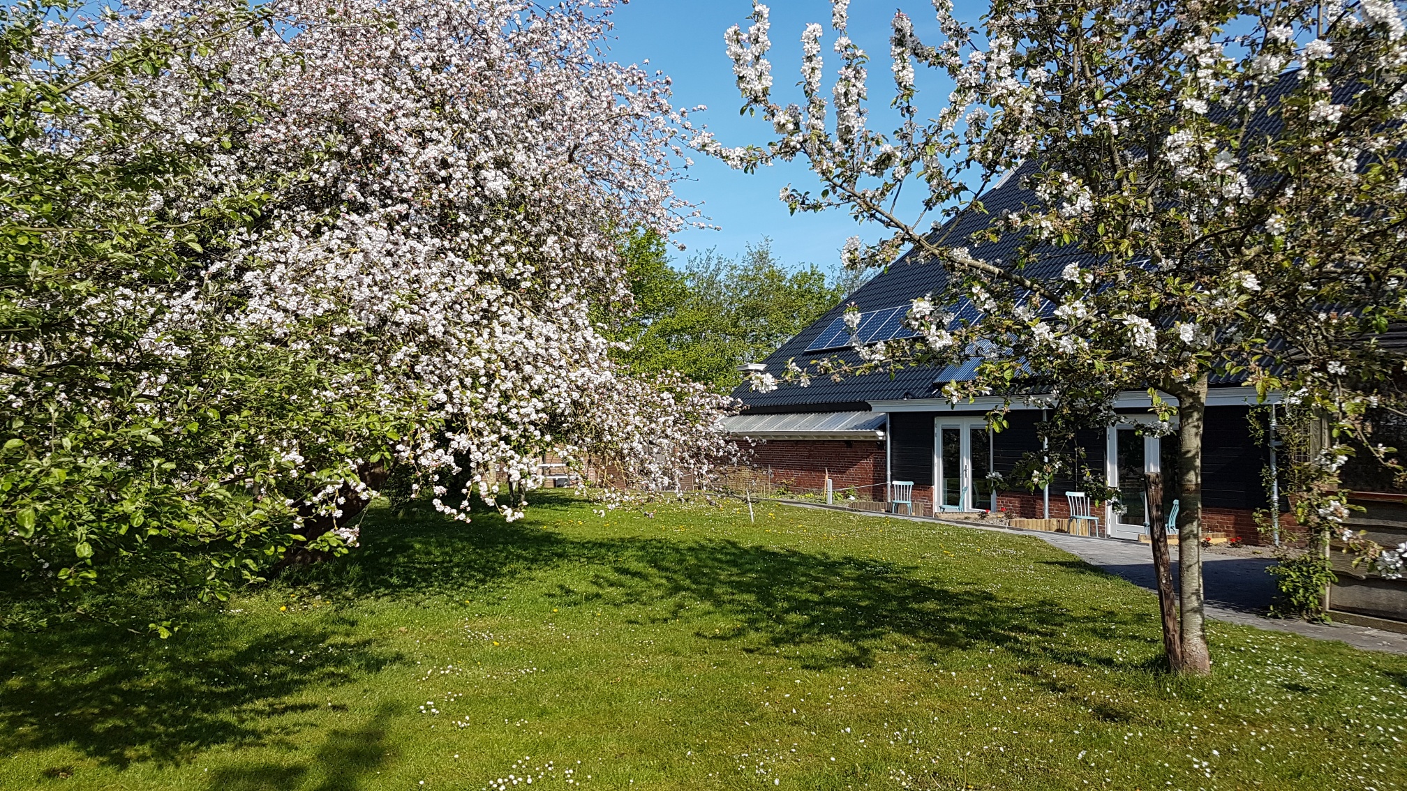 Natuurhuisje in Ulrum