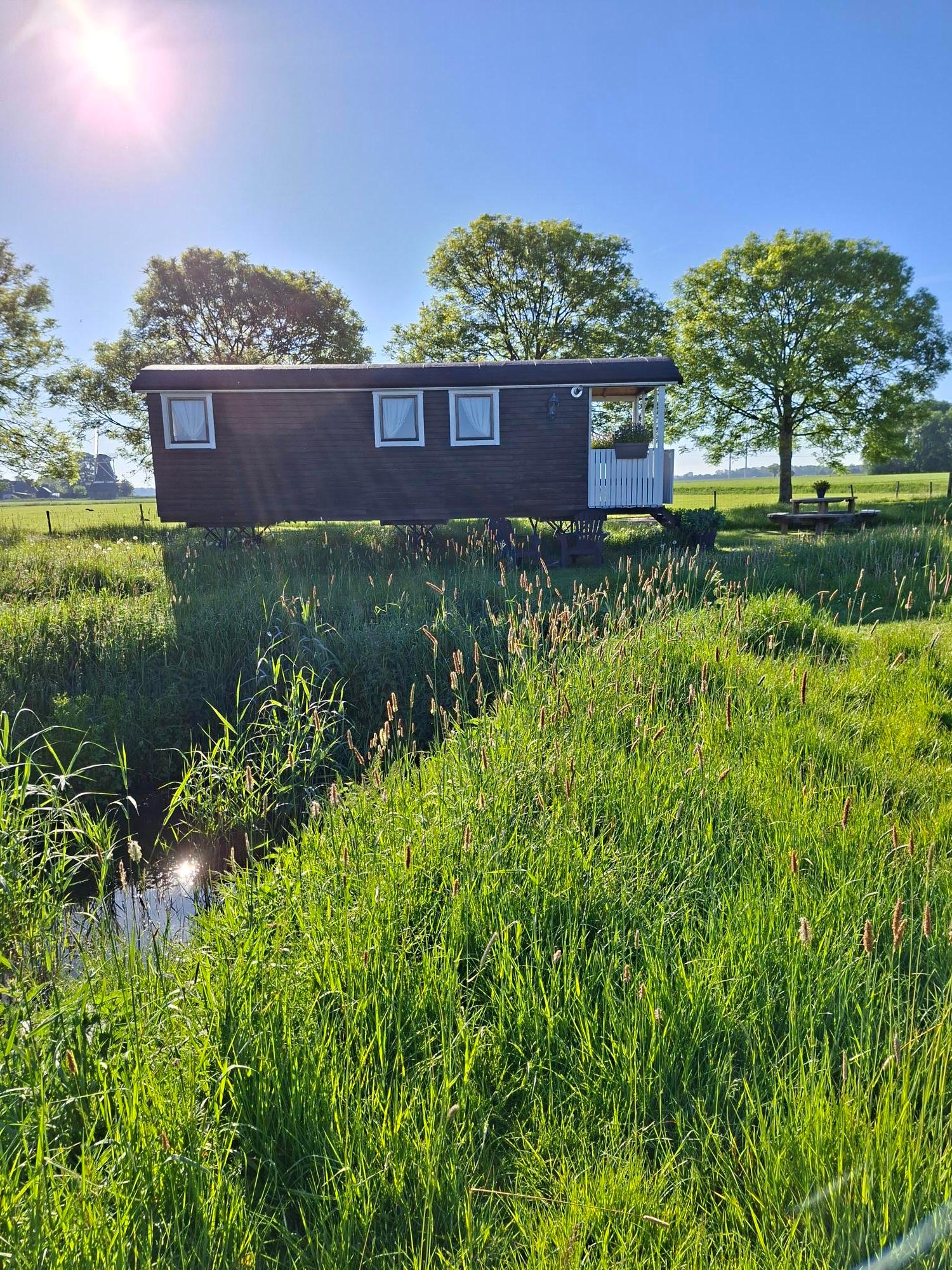 Nature house in Westerwijtwerd