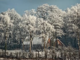 Natuurhuisje in Mook