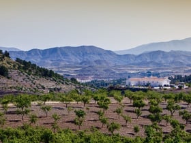 Nature house in Lorca  La Parroquia