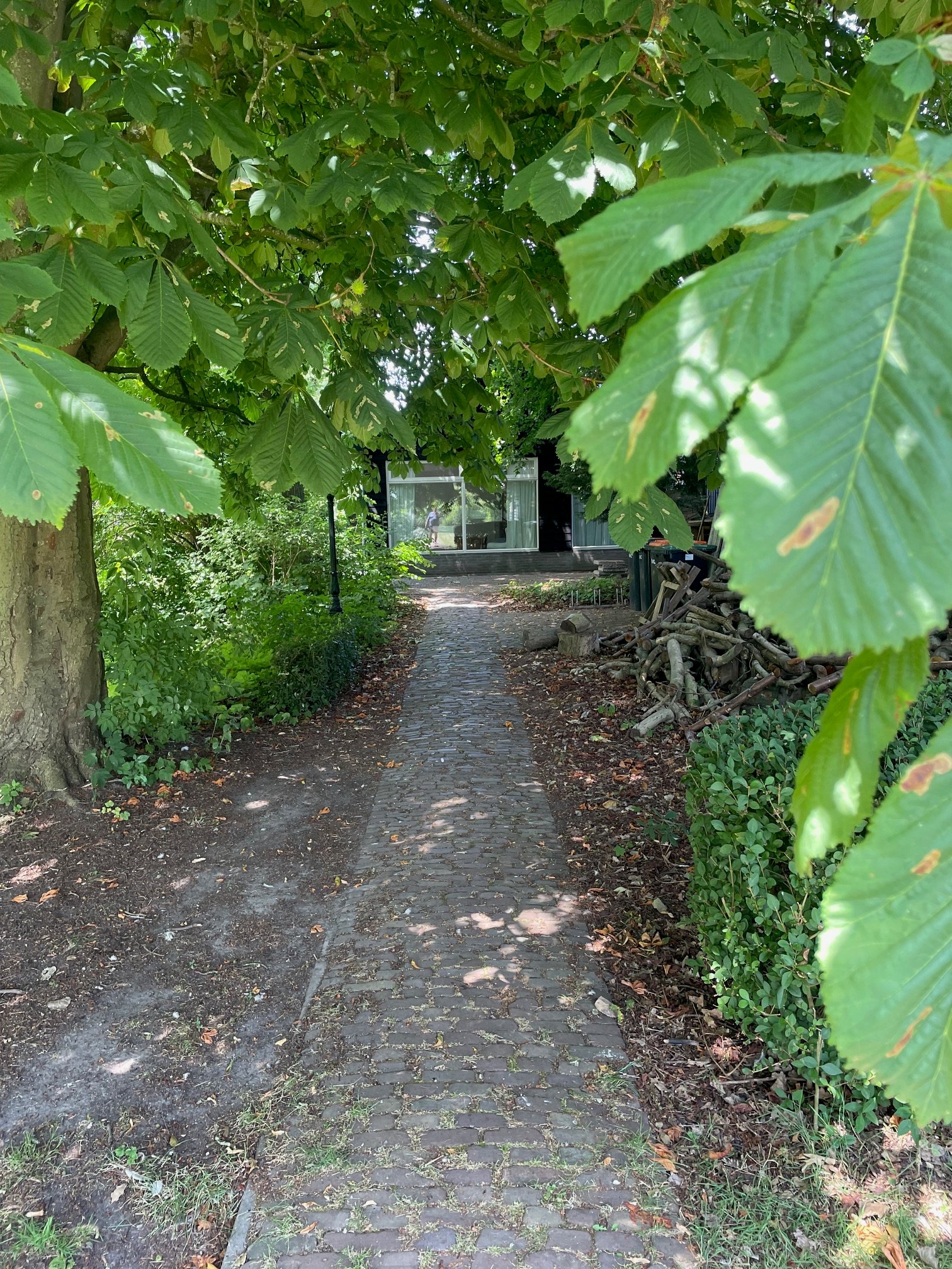 Natuurhuisje in Andijk