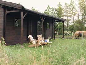 Naturhäuschen in Oosterwolde Gelderland