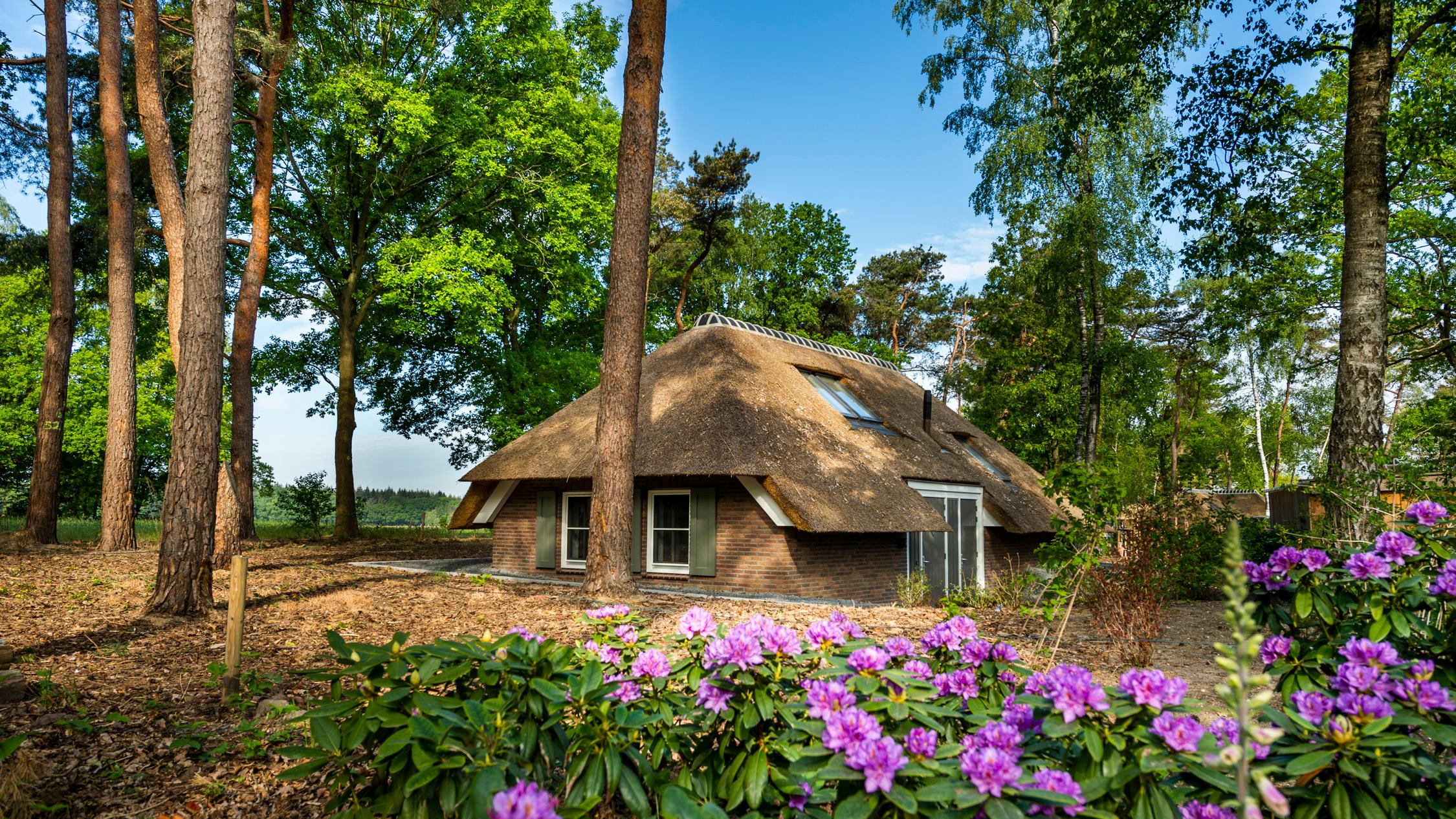 Nature house in Putten