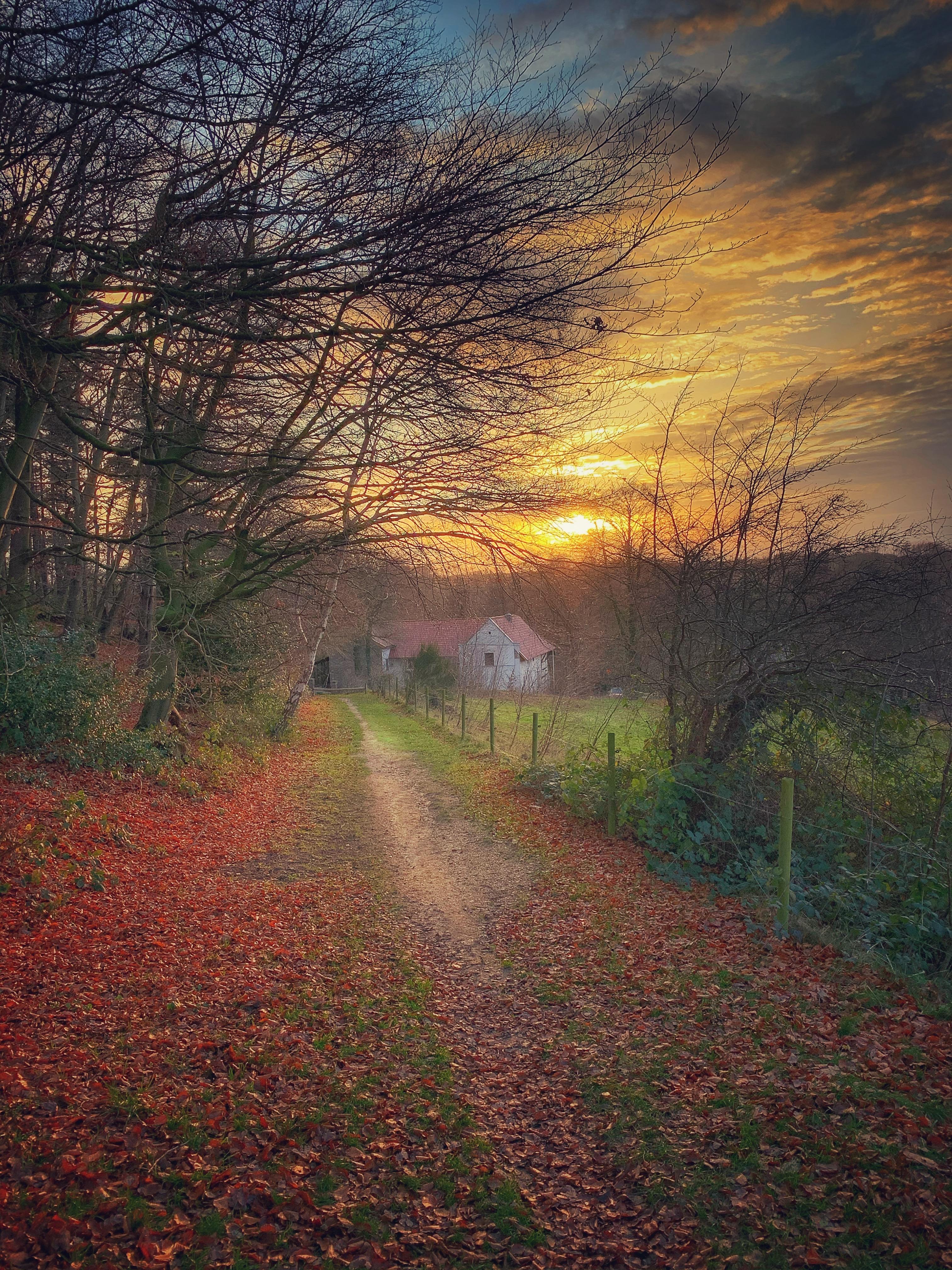 Nature house in Schinnen