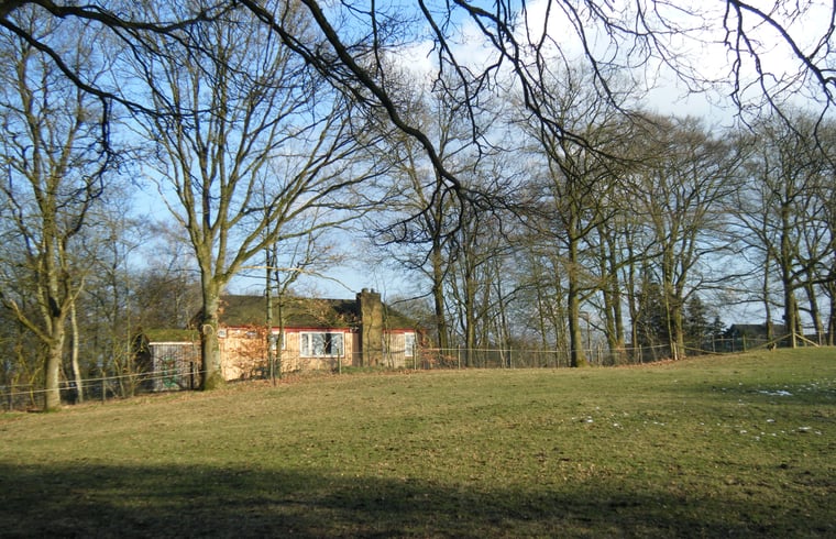 Vakantiehuis in Hoenderloo — foto 3