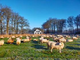 Maison nature à Woudenberg