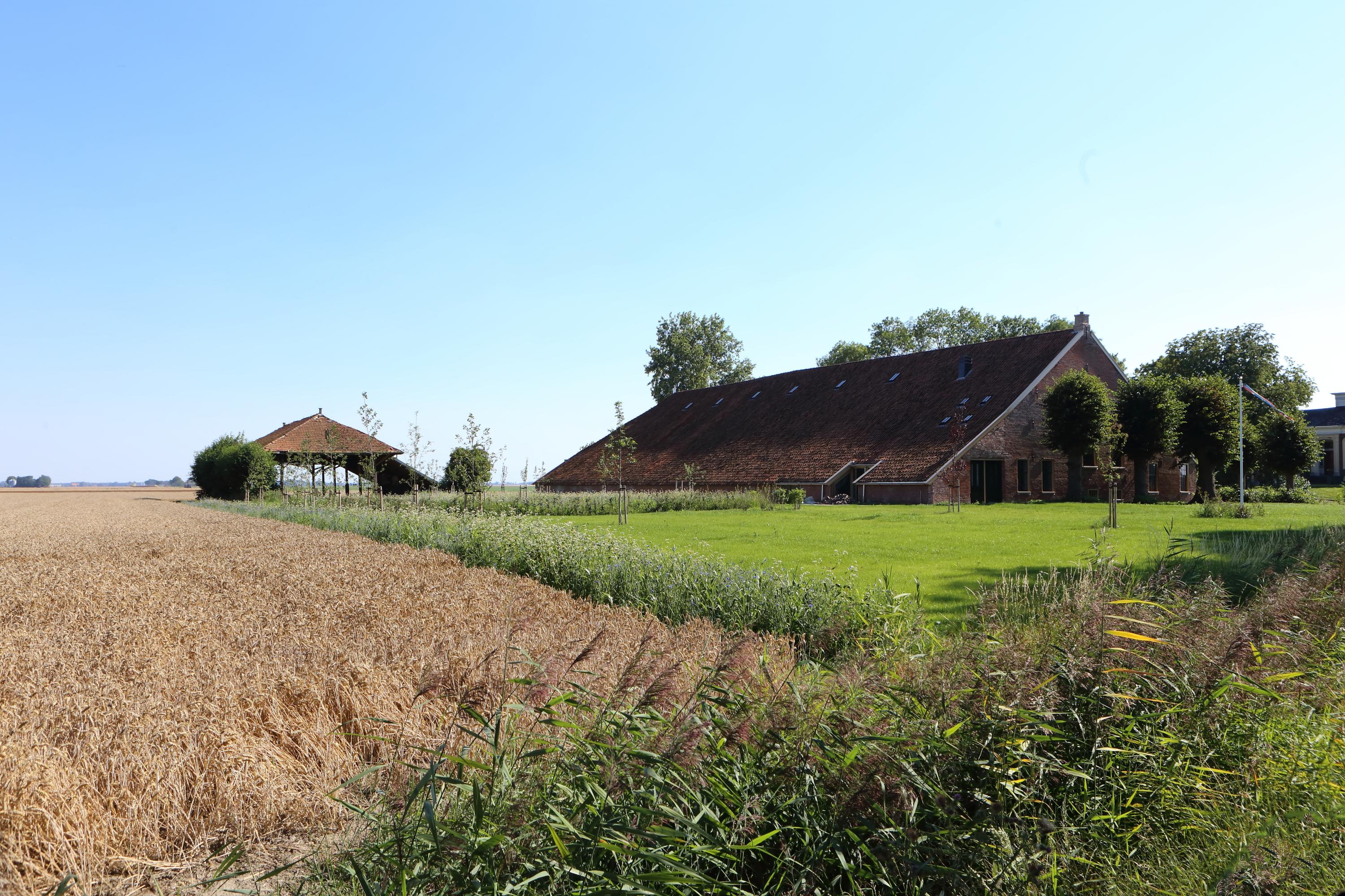 Maison nature à Nieuwolda