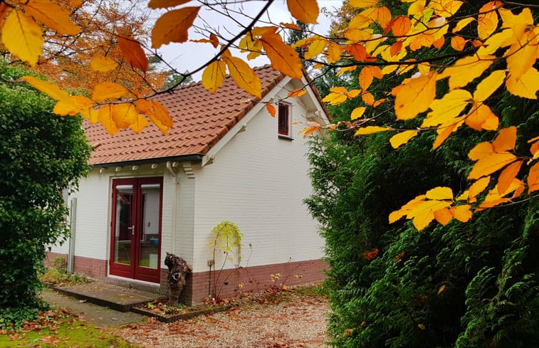 Natuurhuisje in Vaassen