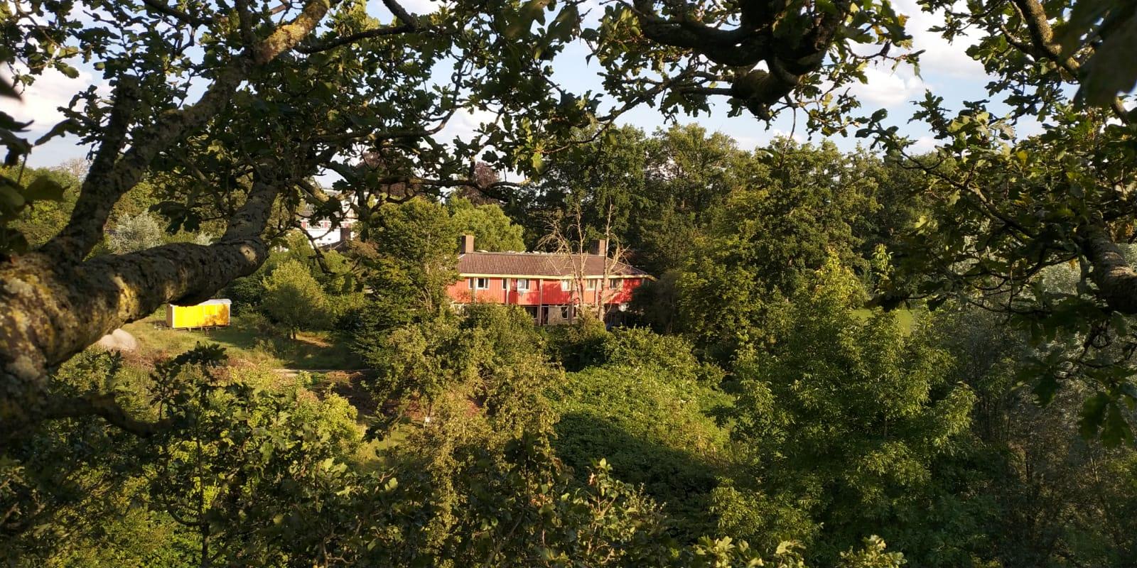 Maison nature à Brummen
