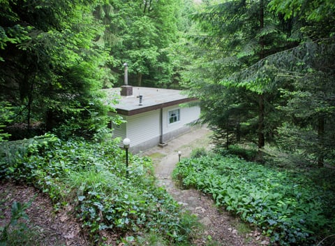 Maison nature à Dilsen: 2
