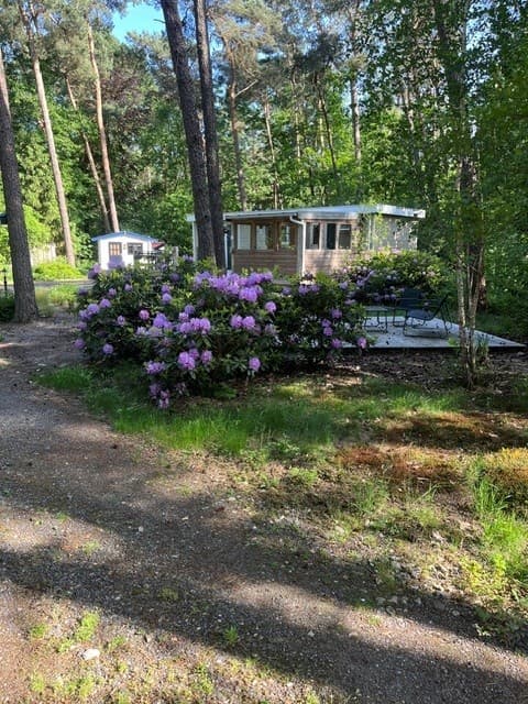 Nature house in Enschede