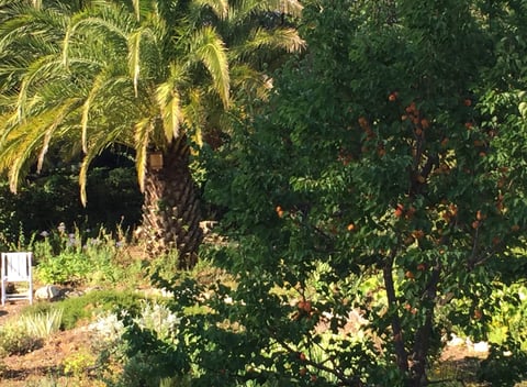 Naturhäuschen in CHATEAUNEUF GRASSE - thumbnail: 9: 9