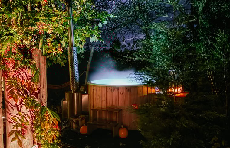 Natuurhuisje in Bellingwolde