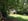 Nature house in Ter Idzard