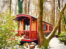 Casa nella natura a Gellik