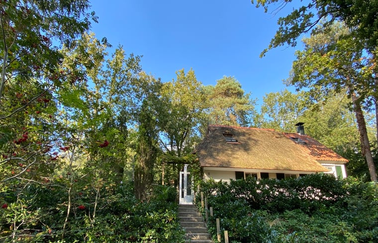 Natuurhuisje in IJhorst