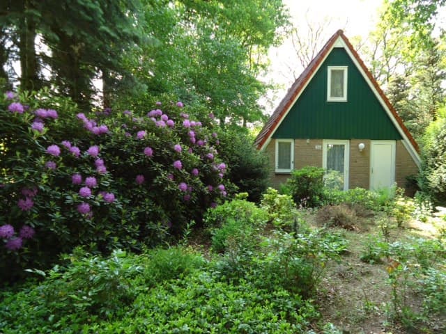 Nature house in Harfsen