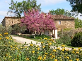 Natuurhuisje in casole d'elsa