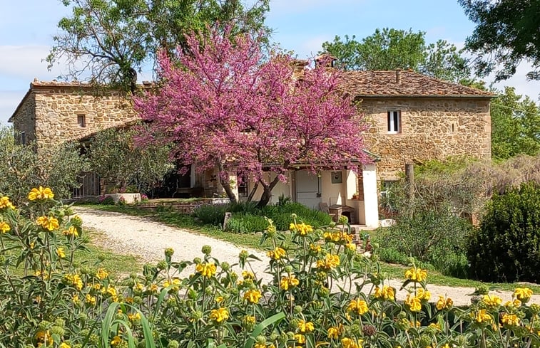 Natuurhuisje in casole d'elsa