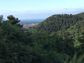 Nature house in Pietrasanta  , loc. Strettoia