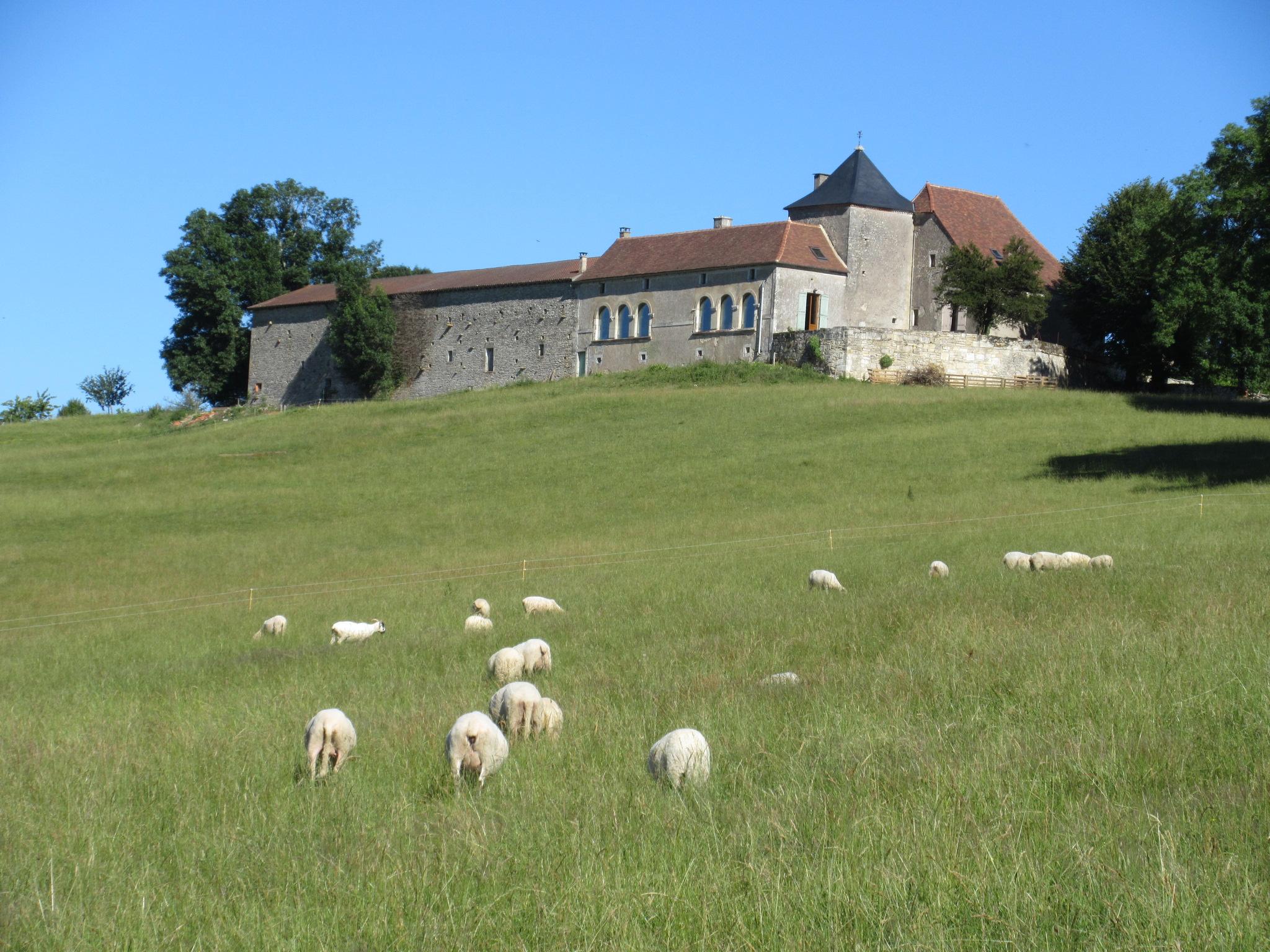 Maison nature à Tourtoirac