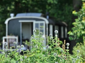 Casa nella natura a Groningen