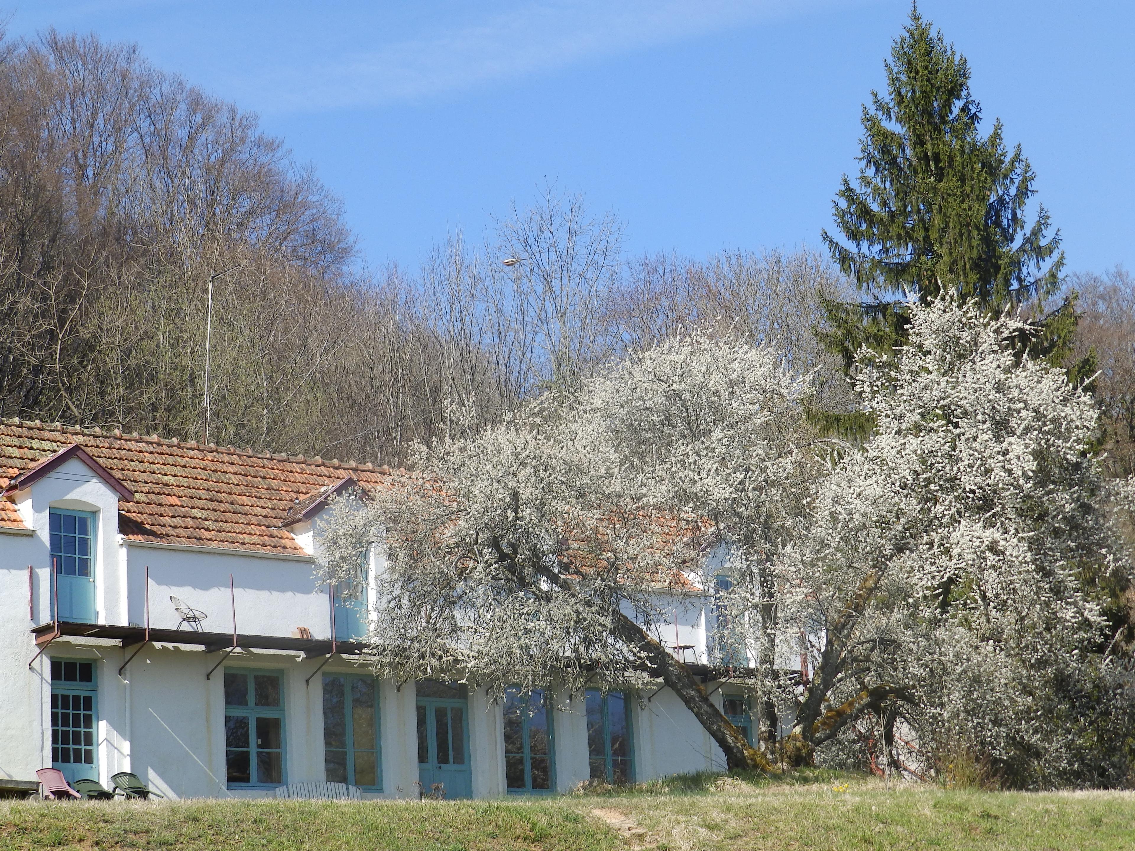 Natuurhuisje in Foulain