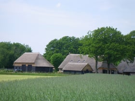 Naturhäuschen in Dwingeloo