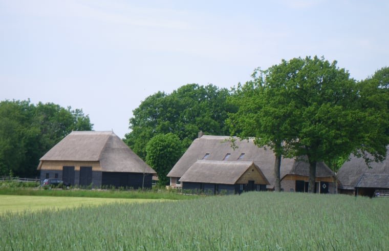 Vakantiehuis in Dwingeloo — foto 1