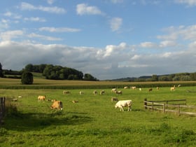 Natuurhuisje in Mechelen