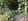 - image: 24