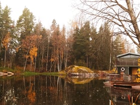 Natuurhuisje in Töcksfors