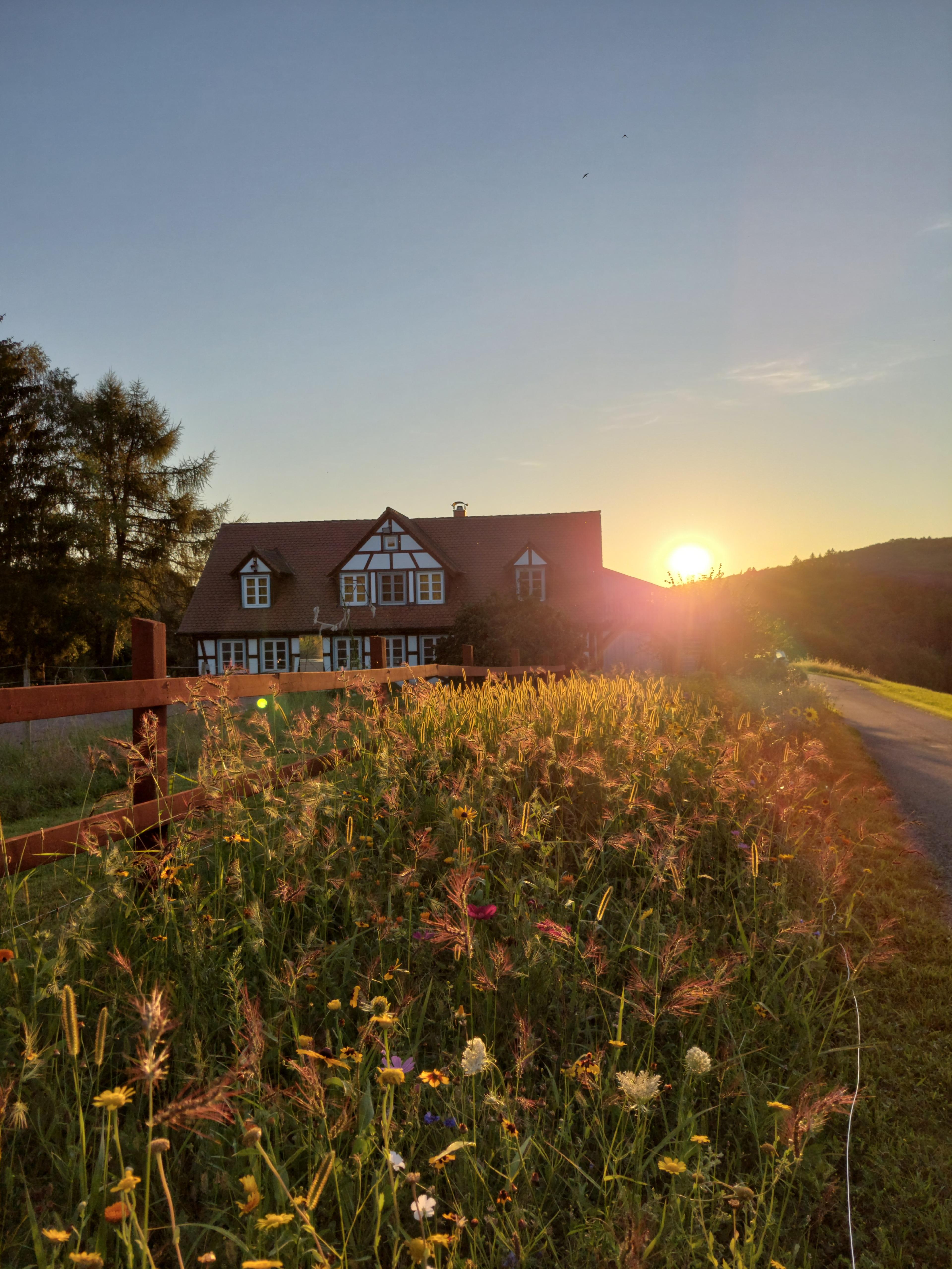 Natuurhuisje in Weinheim