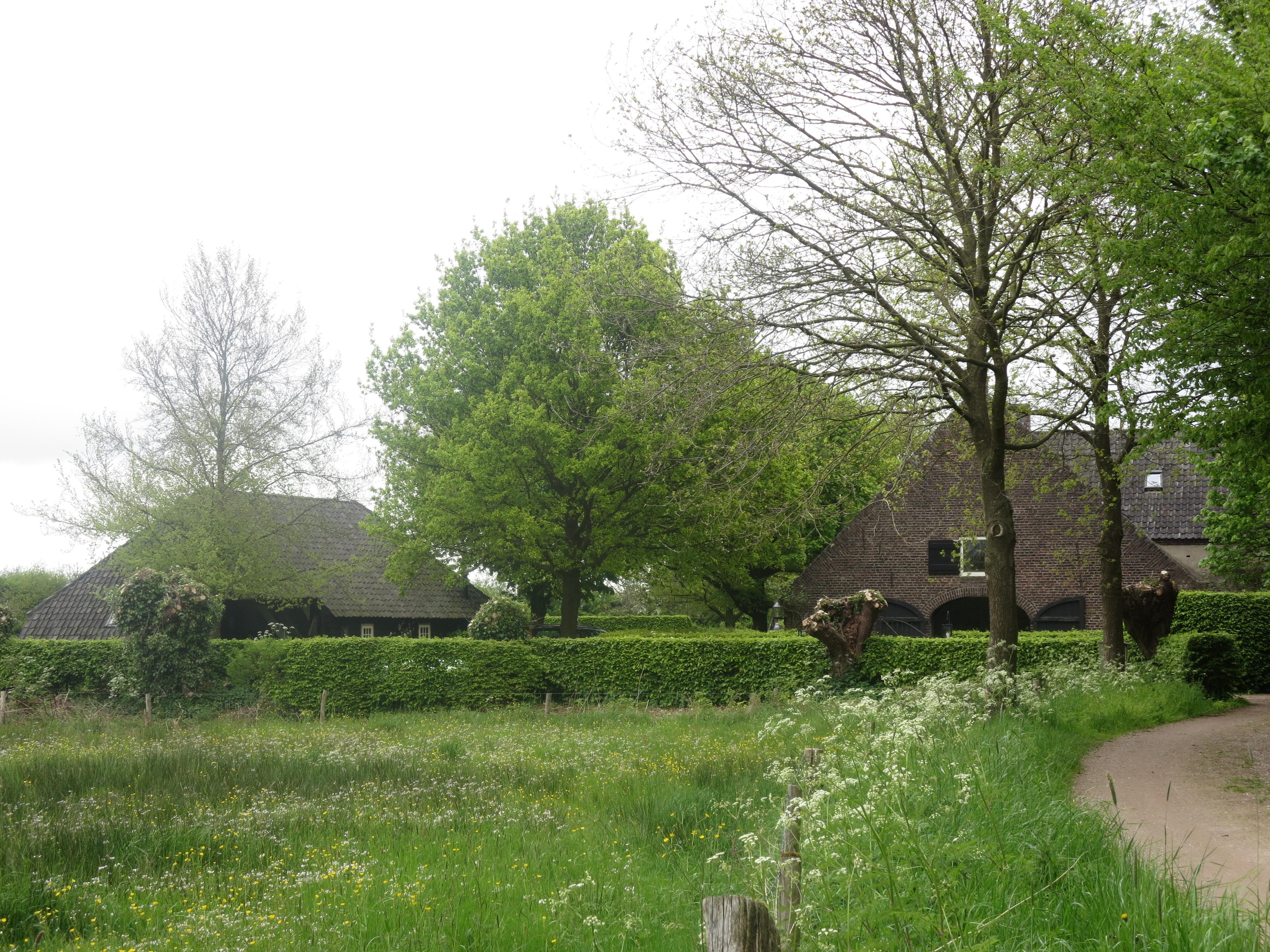 Nature house in Oeffelt