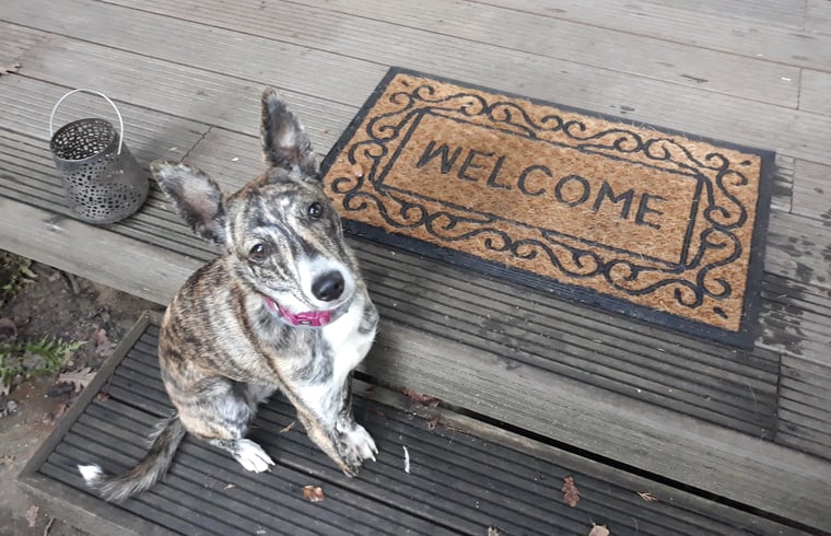 Chalet in Lanaken (Gellik) — foto 2