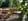 Nature house in Jislum