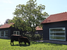 Natuurhuisje in Baexem