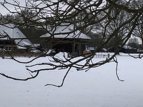 Naturhäuschen in Ommen