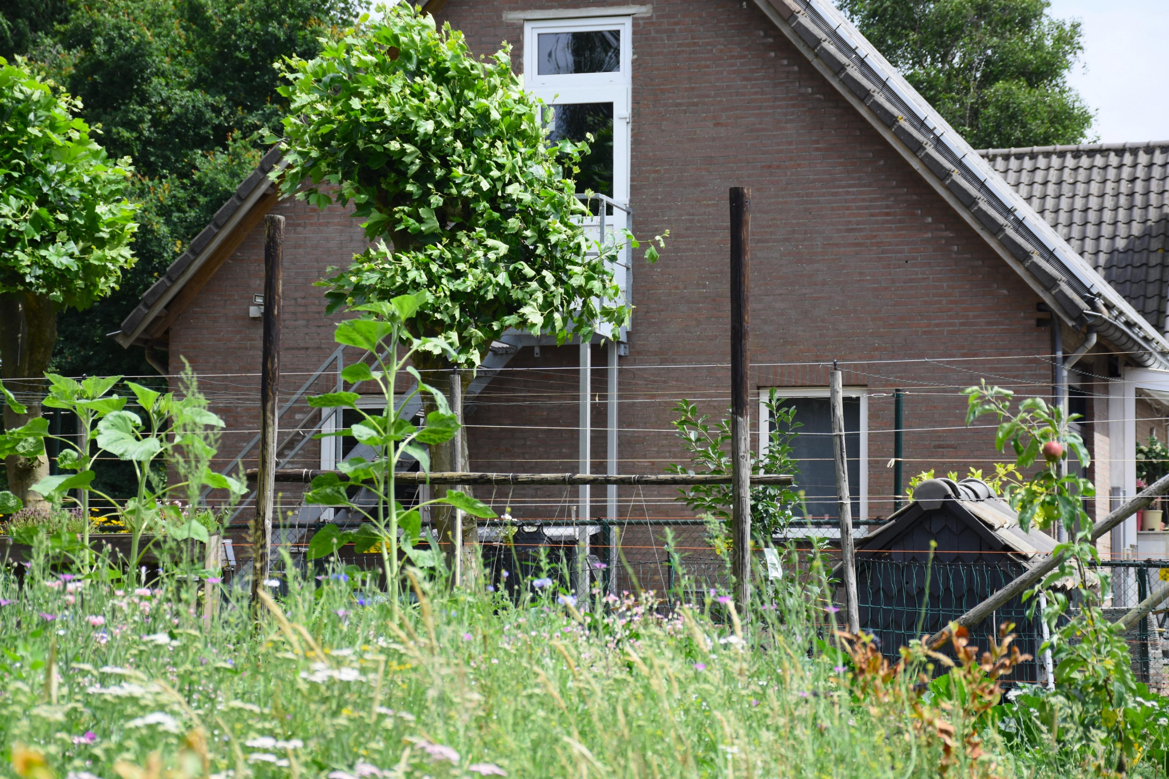 Maison nature à Baexem