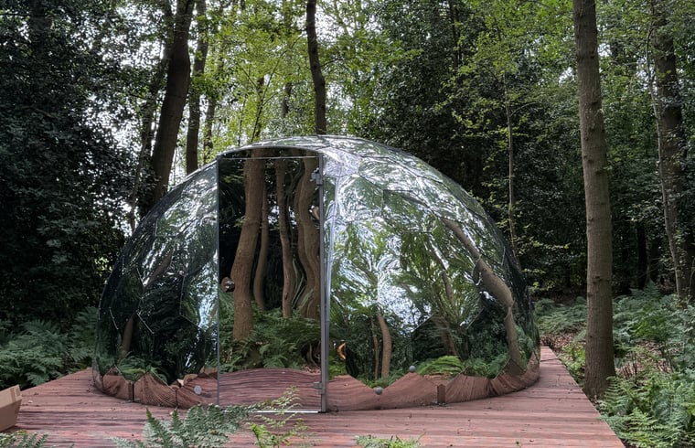 Natuurhuisje in Balkbrug