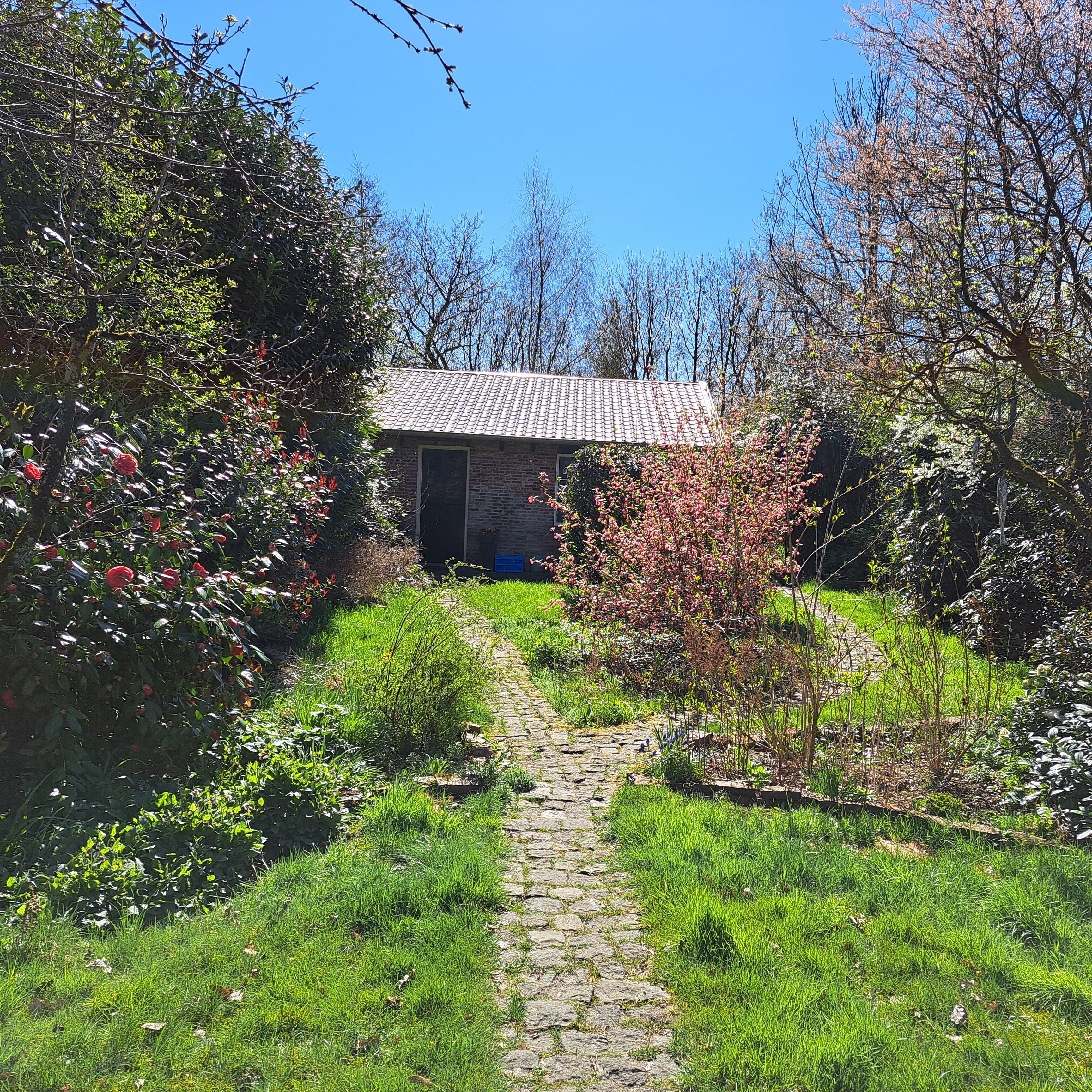 Maison nature à Tytsjerk