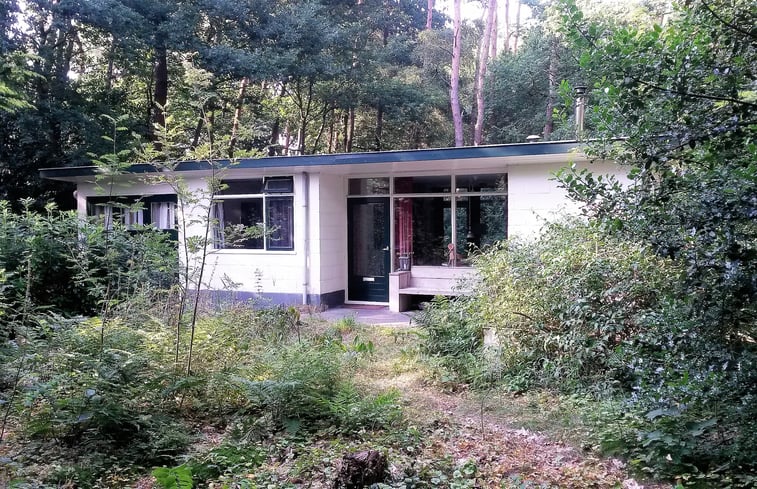 Natuurhuisje in Doldersum