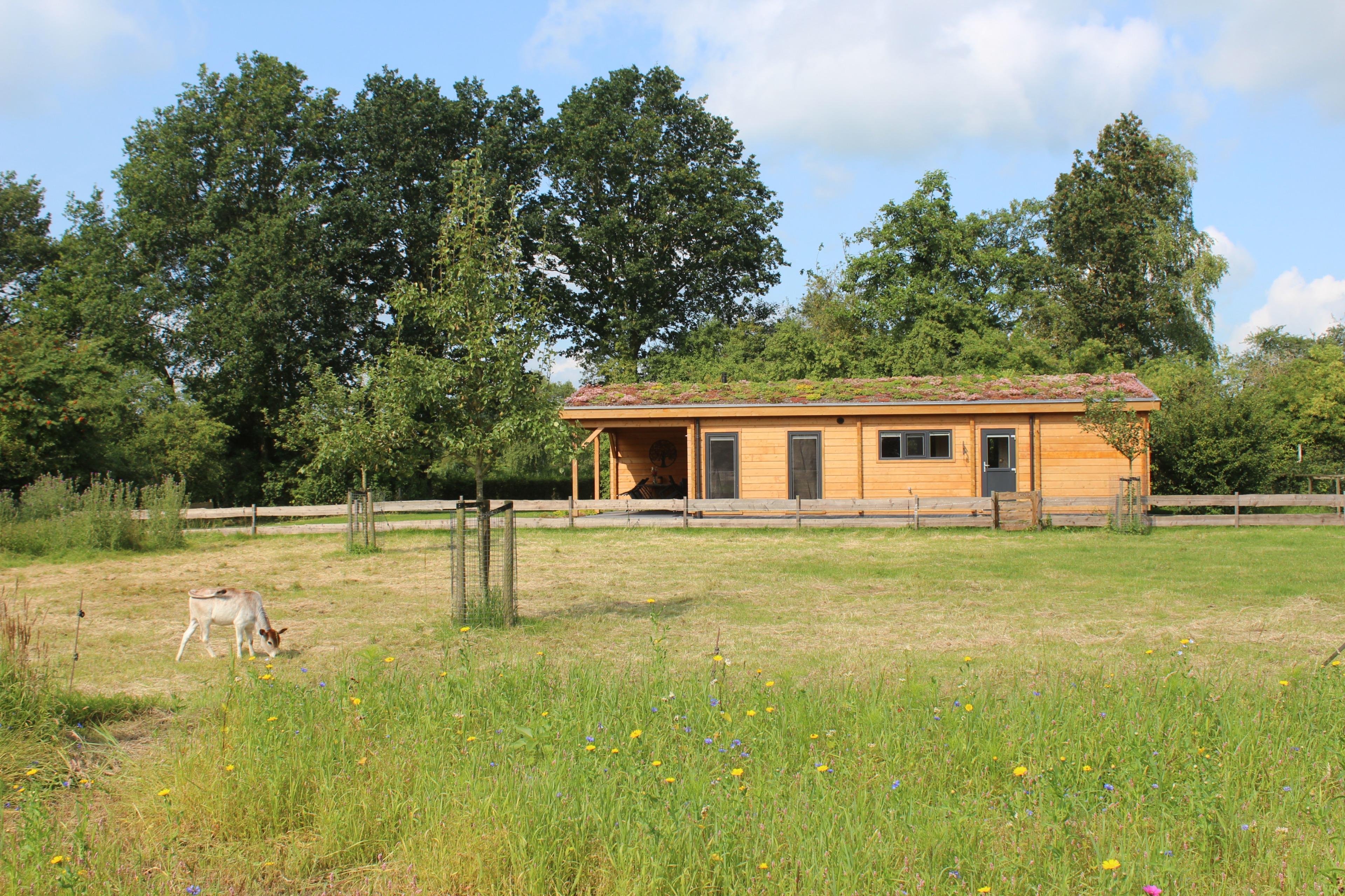 Maison nature à Oldekerk