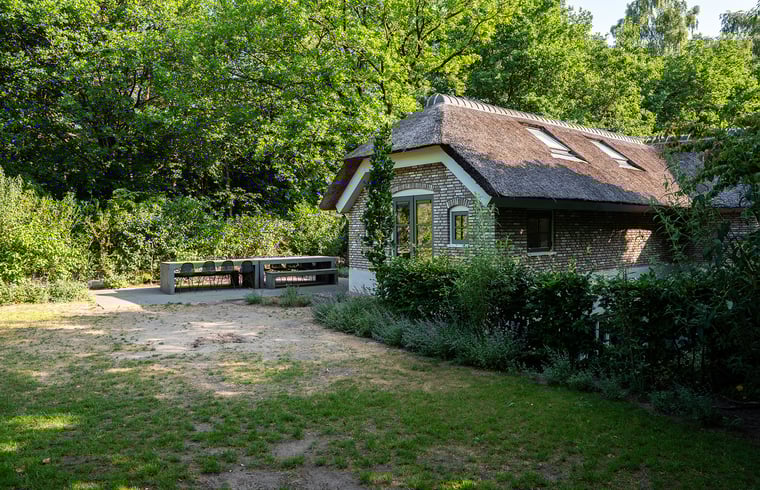 Vakantiehuis in Ermelo — foto 2