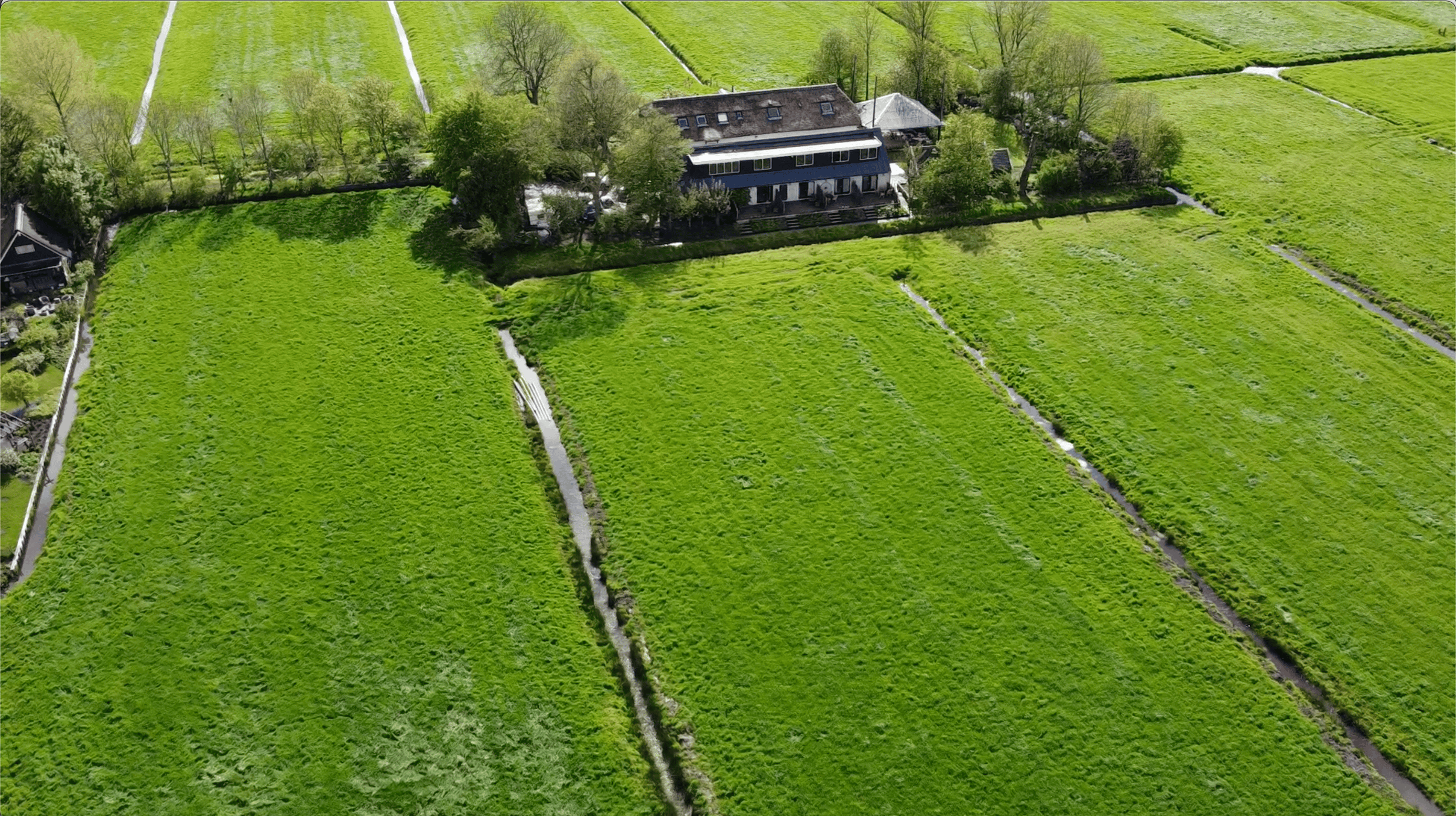 Maison nature à Waverveen