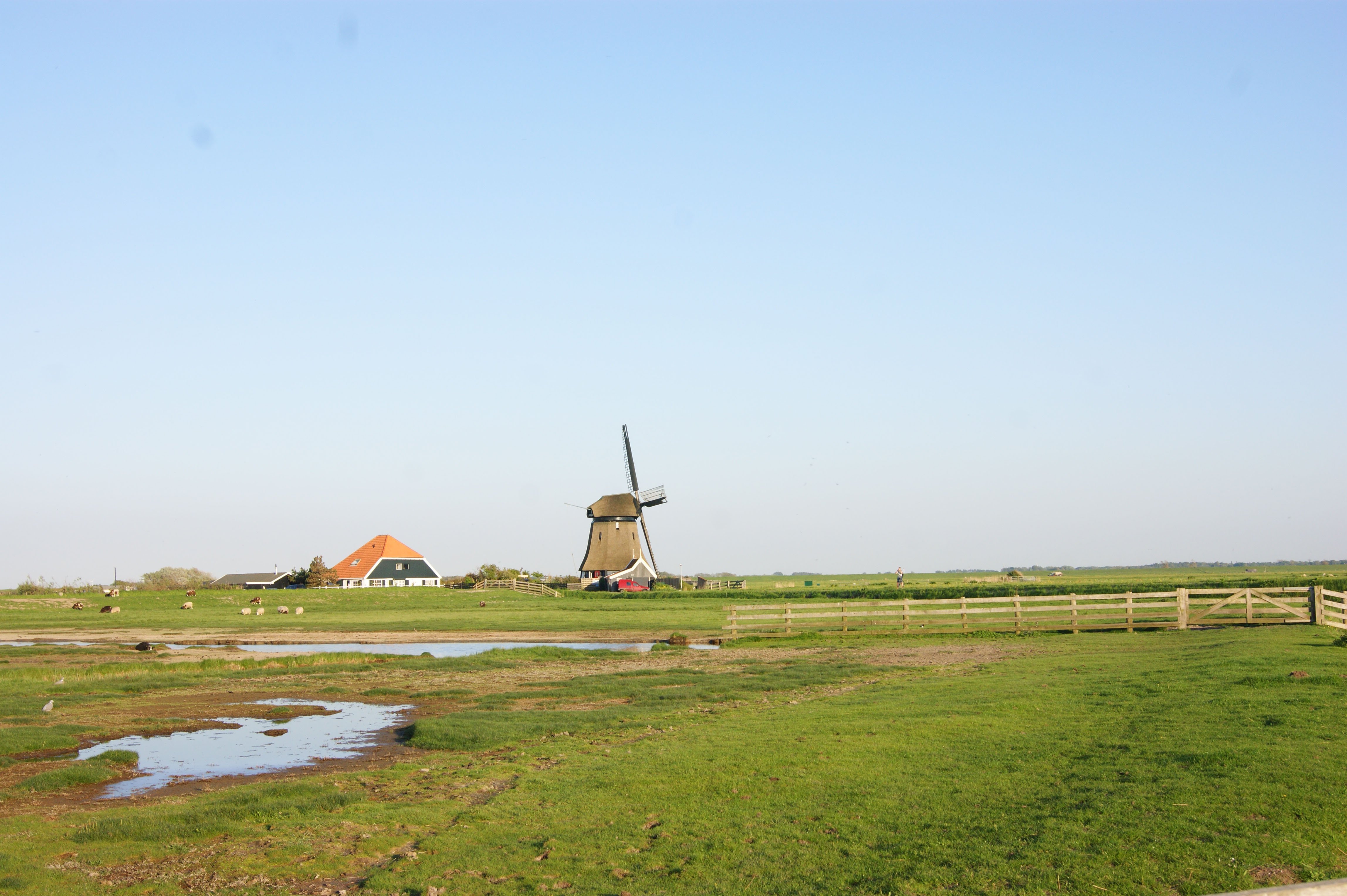 Natuurhuisje in Schoorl